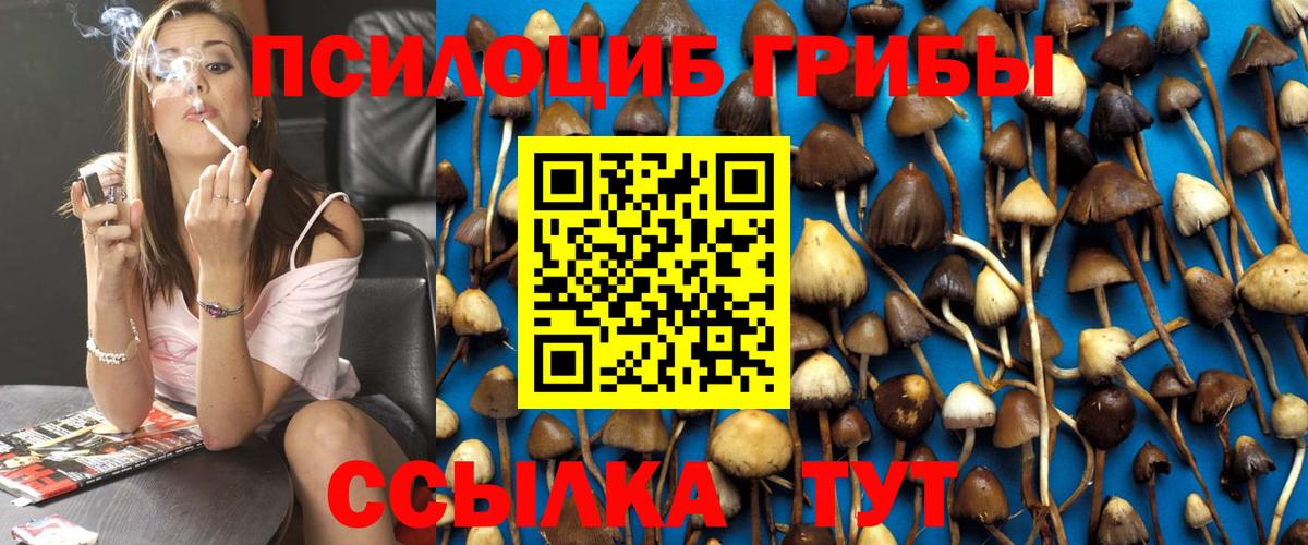 купить   Вход с VPN  Сердобск  Псилоцибиновые грибы Psilocybe 