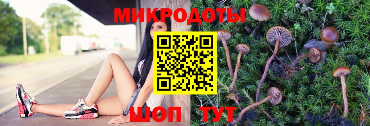 Галлюциногенные грибы мухоморы Сердобск